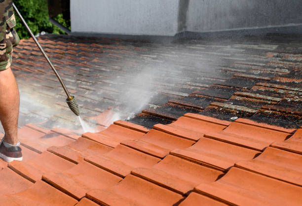Pressure Washing Services for Businesses in Pine Lakes, FL